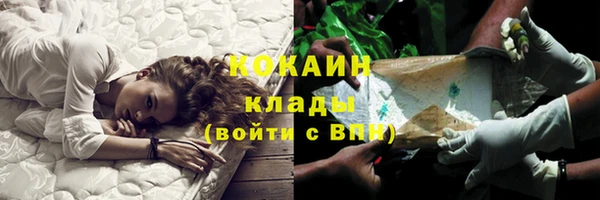 прущие крисы Гусев