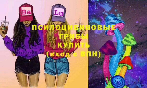 прущие крисы Гусев