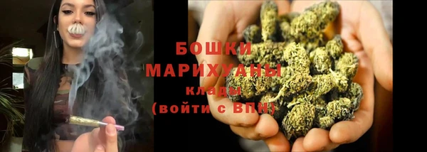 тгк Гусь-Хрустальный