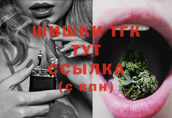 тгк Гусь-Хрустальный