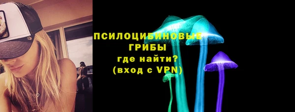 прущие крисы Гусев