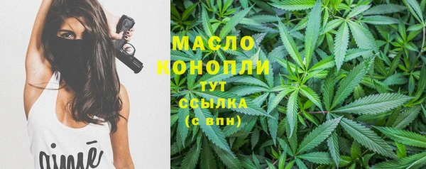 тгк Гусь-Хрустальный