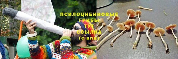 тгк Гусь-Хрустальный