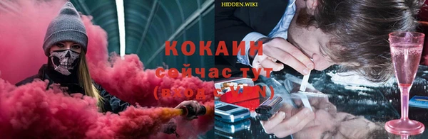 прущие крисы Гусев