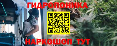 тгк Вышний Волочёк