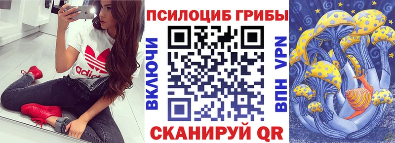 блэк спрут ссылки продажа наркотиков Переславль-Залесский Псилоцибиновые грибы Magic Shrooms