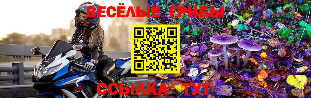 Псилоцибиновые грибы Psilocybe  Галлюциногенные грибы мицелий  Переславль-Залесский  Вход с VPN 